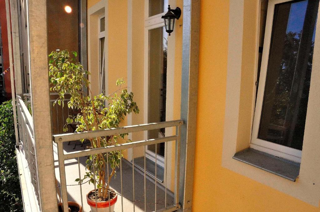 Haus Ludwig Apartman Drezda Kültér fotó